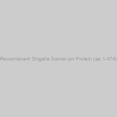 Image of Recombinant Shigella Sonnei prr Protein (aa 1-474)